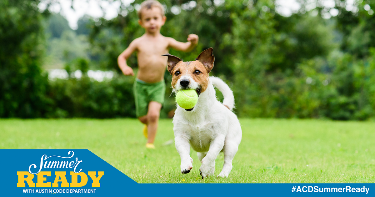 summer ready with Austin code young boy running on a green lawn after a dog who is holding a tennis ball in its mouth