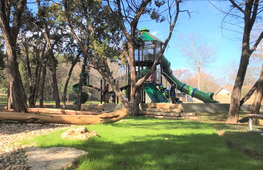 Trees at North Oaks Park playground