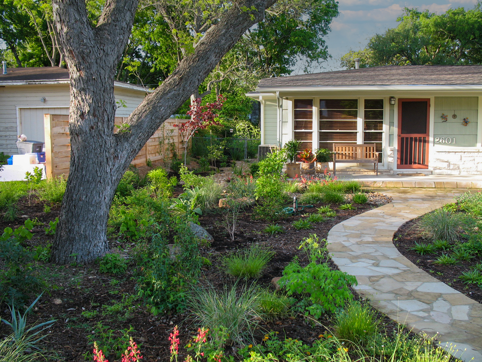 A WaterWise landscape with no grass and many native plants.