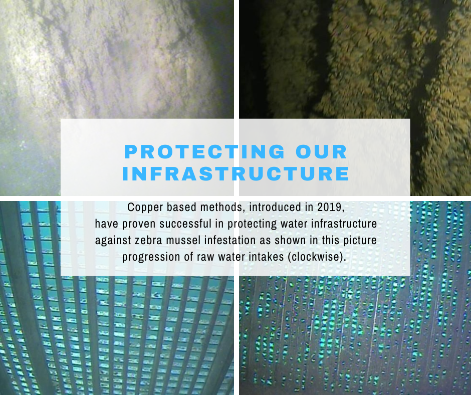 Copper based methods have proven successful in protecting water infrastructure against zebra mussel infestation as shown in the image progression of raw water intake. Copper based methods have proven successful in protecting water infrastructure against zebra mussel infestation as shown in the image progression of raw water intake.