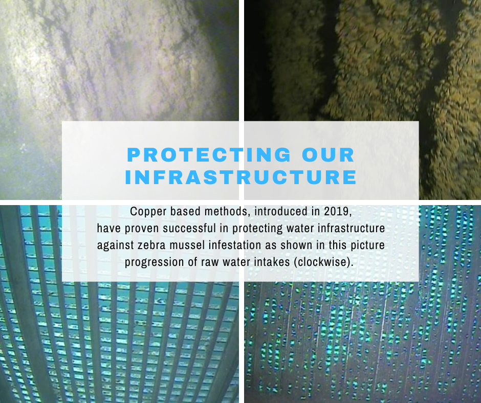 Copper based methods have proven successful in protecting water infrastructure against zebra mussel infestation as shown in the image progression of raw water intake.