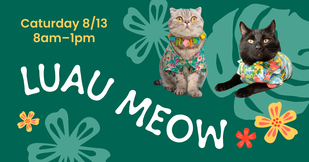Luau Meow