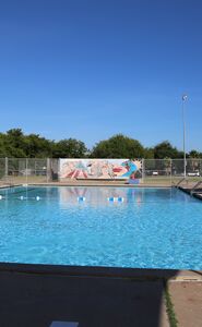 Image of Montopolis Pool and mural