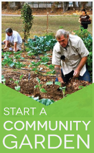 How to start a community garden