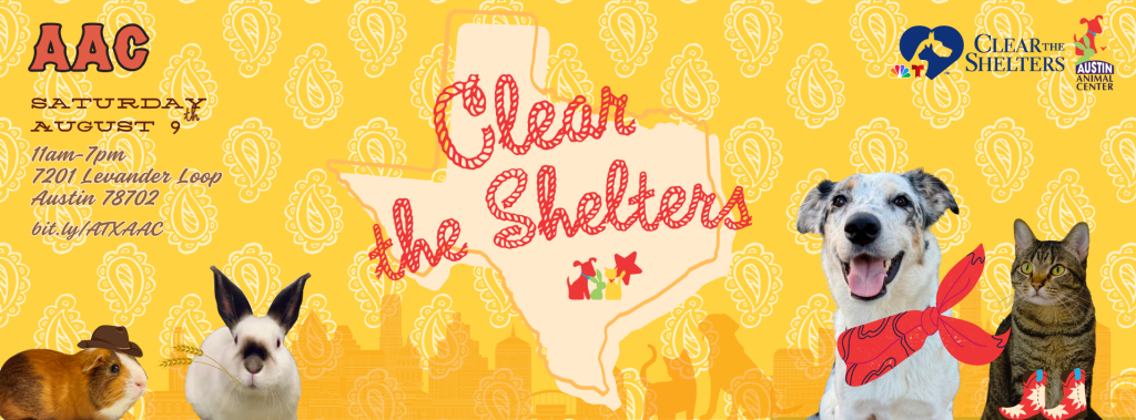 Clear the Shelter flyer with location, date, and time. it has a festive austin theme.