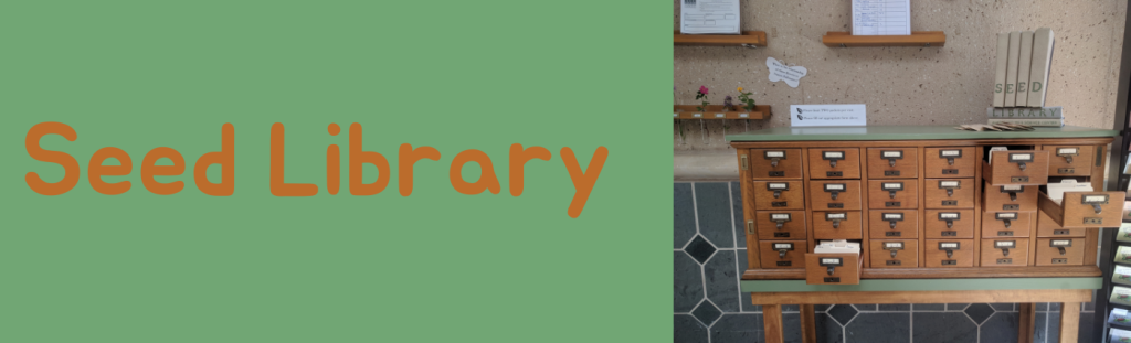 Banner that reads Seed Library with image of card catalog full of seed packets and cut flowers in test tubes.