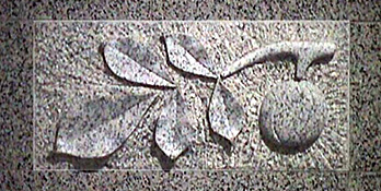 Image of a Texas fruit with leaves carved into granite.