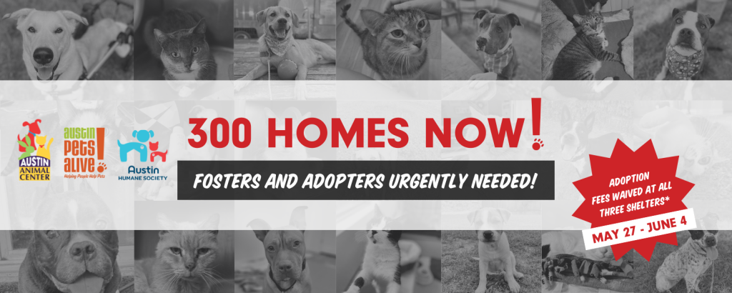 6 black and white photos of dogs and cats with red text 300 homes now, and a red starburst with white text adoption fees waived at all three shelters may 27 to june 4