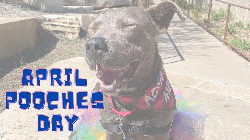April Pooches Day