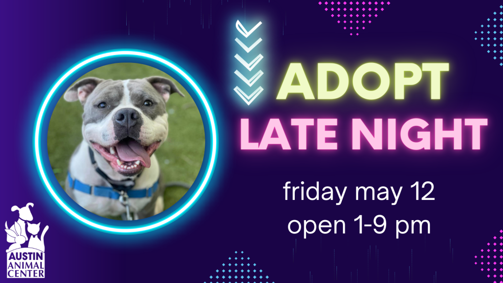 What Does Purple Ribbon Mean For Dogs