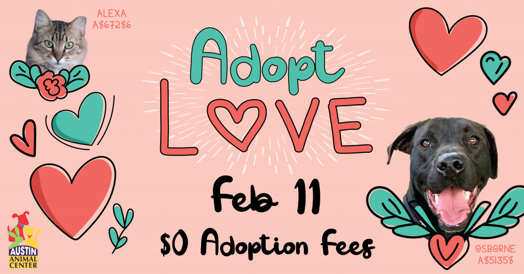 Adopt Love