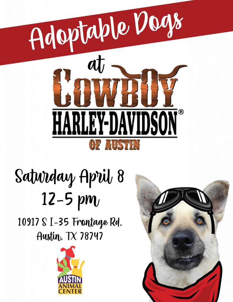 Harley Davidson Flyer