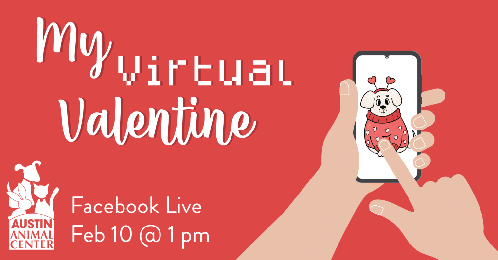 My Virtual Valentine promo image