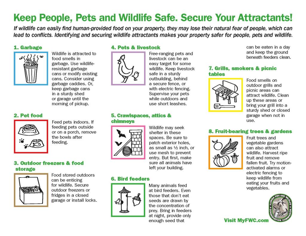 How Wildlife Sees Your Backyard pg2