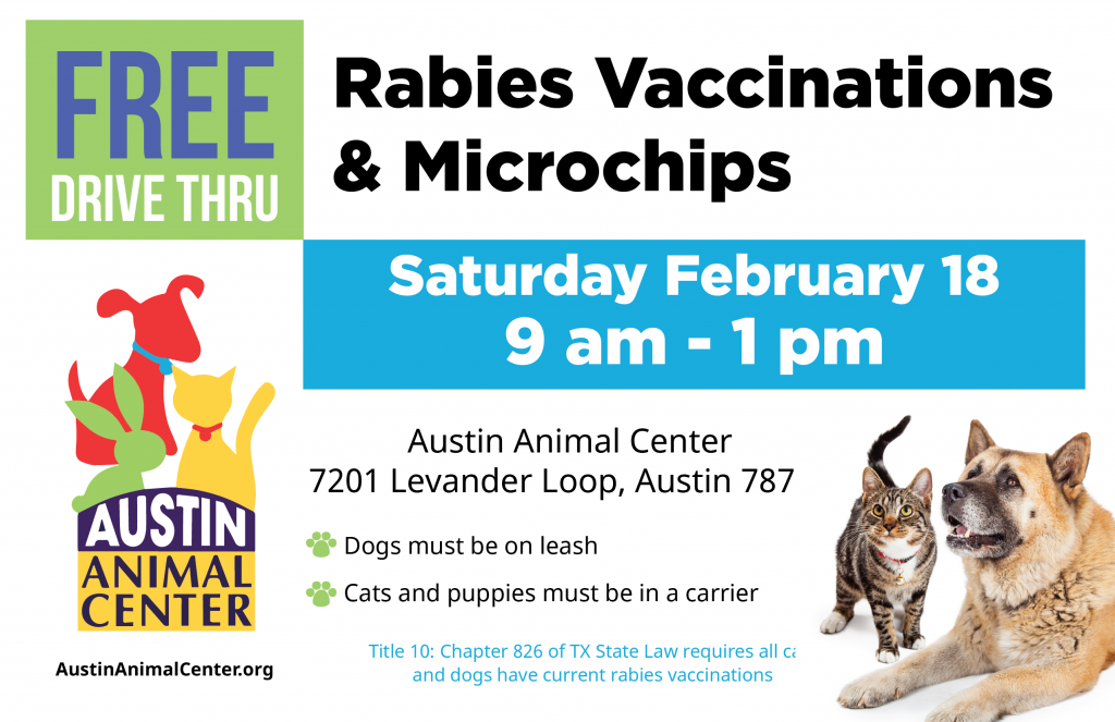 Microchip clinic