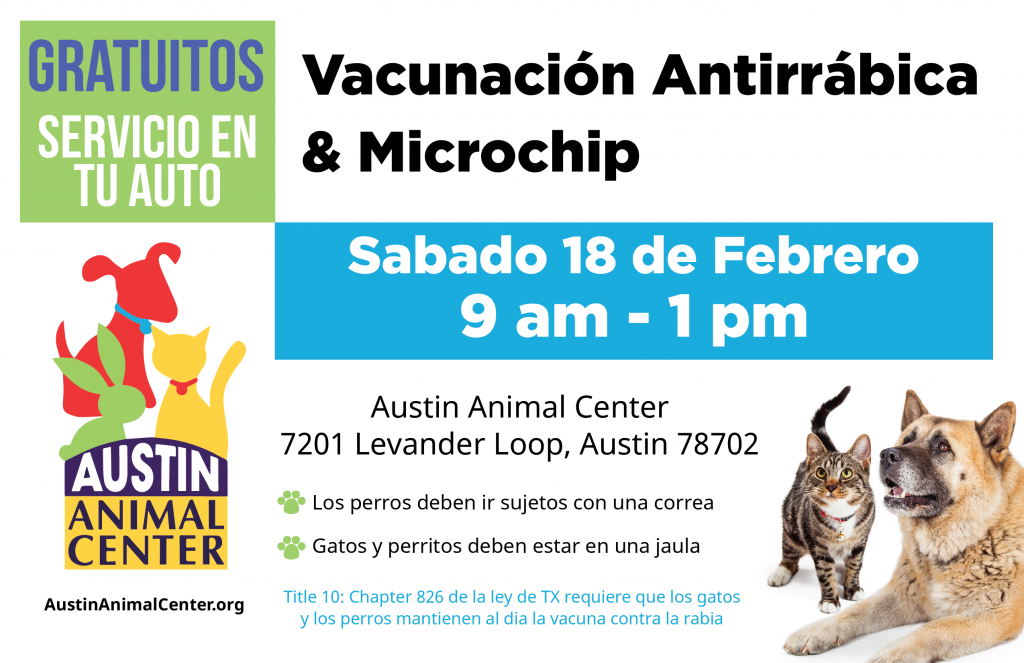 Microchip clinic - sp