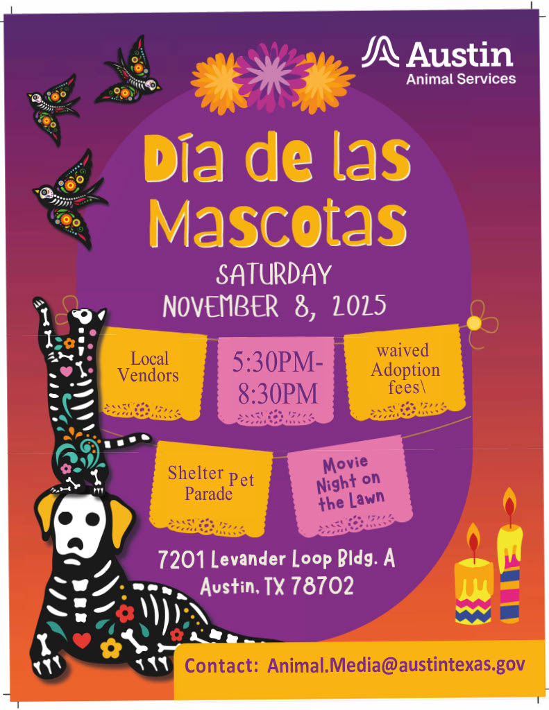 Color flyer in Day of the Dead theme with event details.