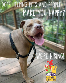AAC is hiring