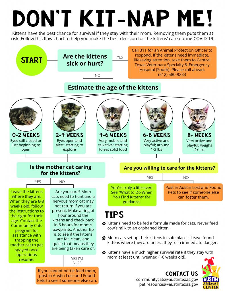 Community Cats Austintexas Gov