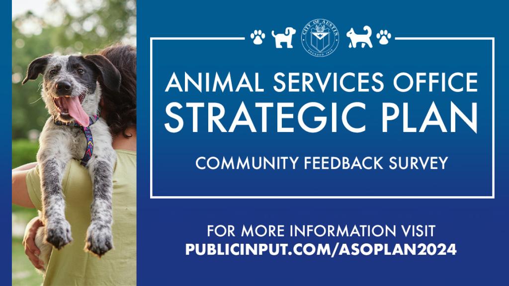 Strategic plan promo image