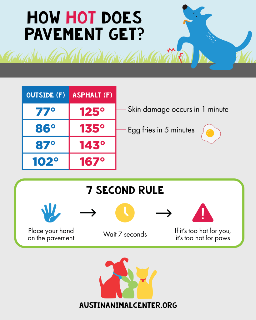 infographic about hot pavement
