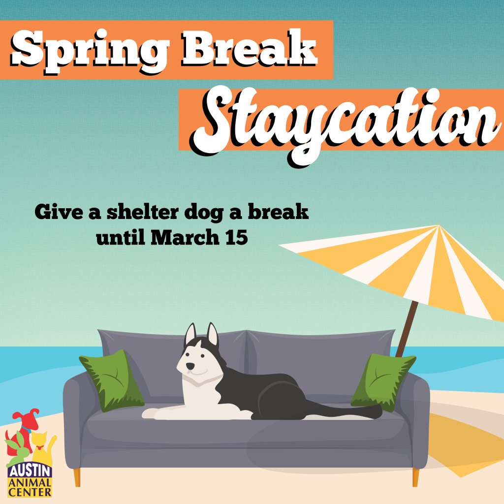 Spring Break Staycation