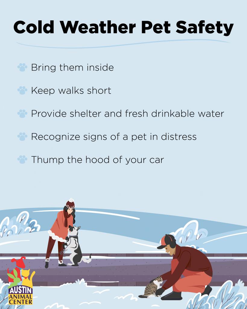 Cold Weather Safety Tips