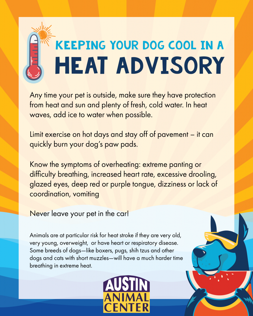 heat advisory info