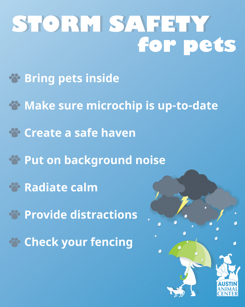 Storm Safety for Pets