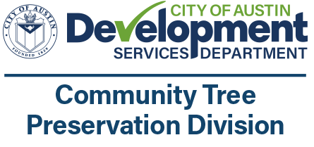 development services banner