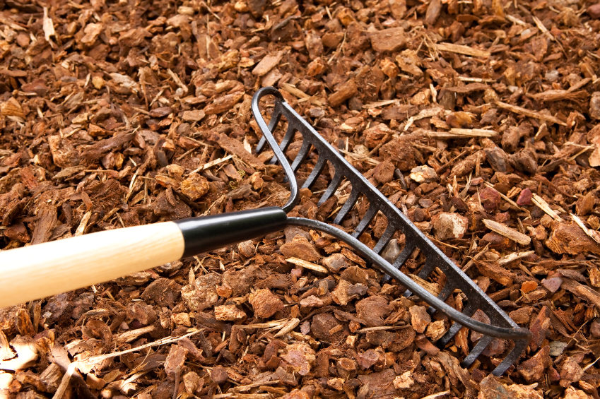Coarse wood chip mulch with a bow rake