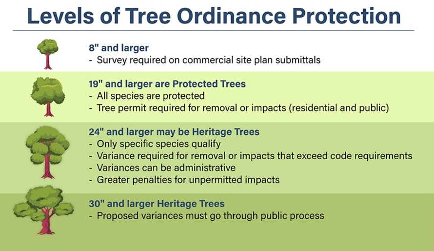 Graphic showing levels of protection in different sized trees