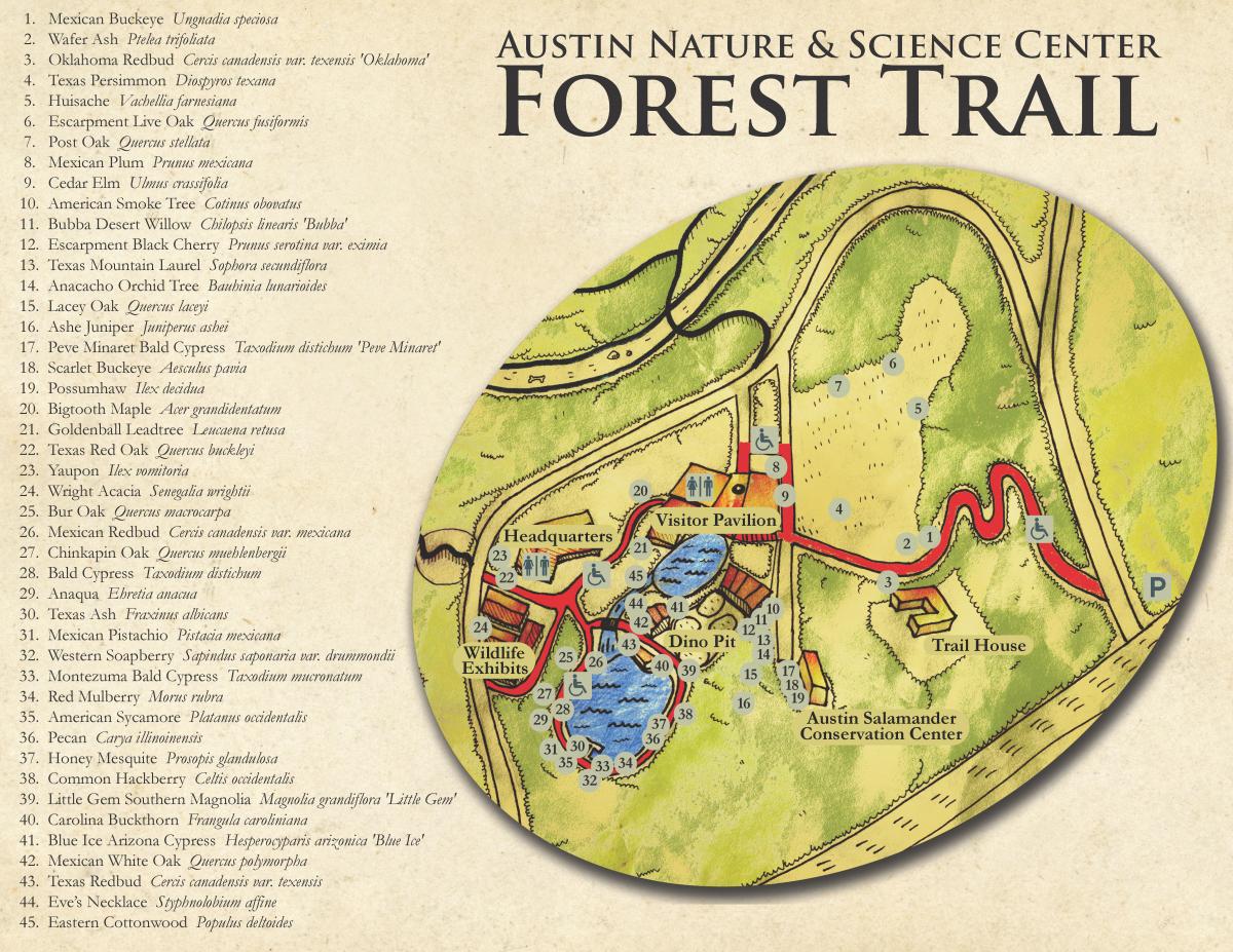 Forest Trail Map | www.bagssaleusa.com/product-category/wallets/ - The Official Website of the City of Austin