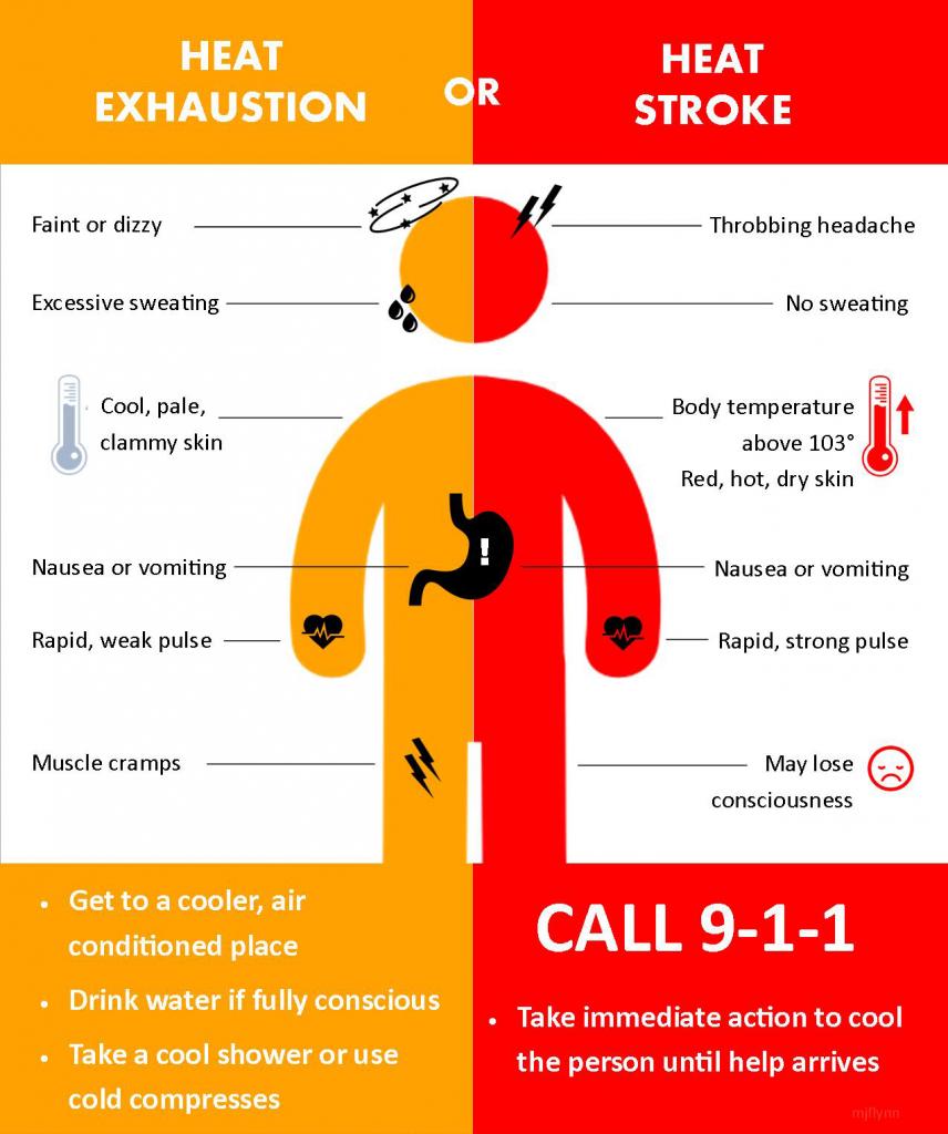 Heat Exhaustion or Heat Stroke 