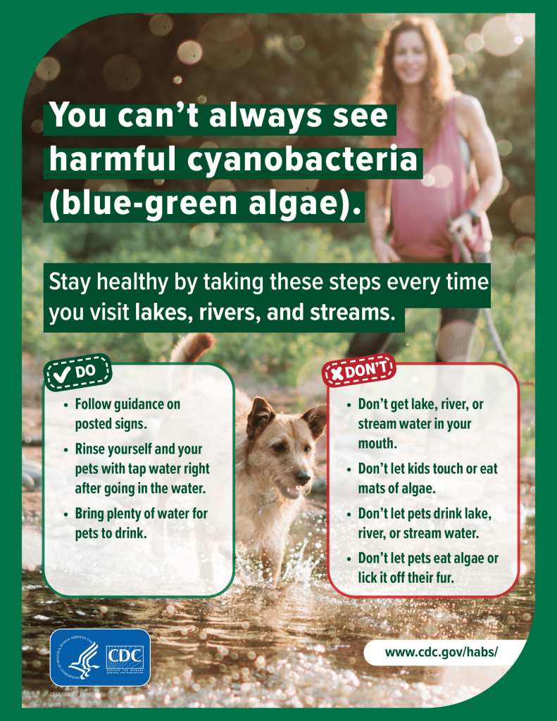Flyer: You can't always see harmful algae.