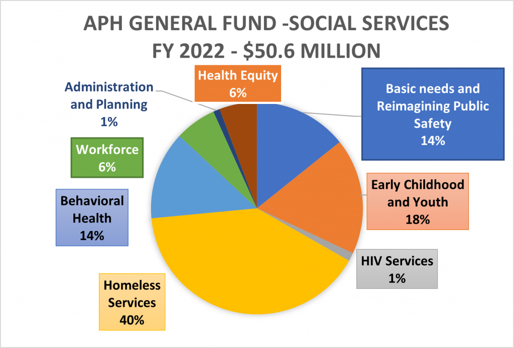 FY22 General Fund Issue Area Funding