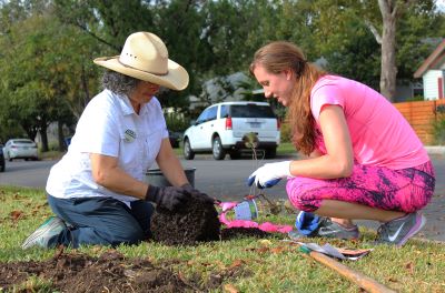 Two women loosening roots before planting a tree.