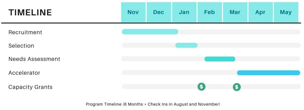 A timeline of the accelerator program beginning with recruitment (Nov to Dec), Selection (Jan), Needs Assessment (Feb to Mar), and the Accelerator (late Mar through May). Capacity grants to be awarded in February and late March.