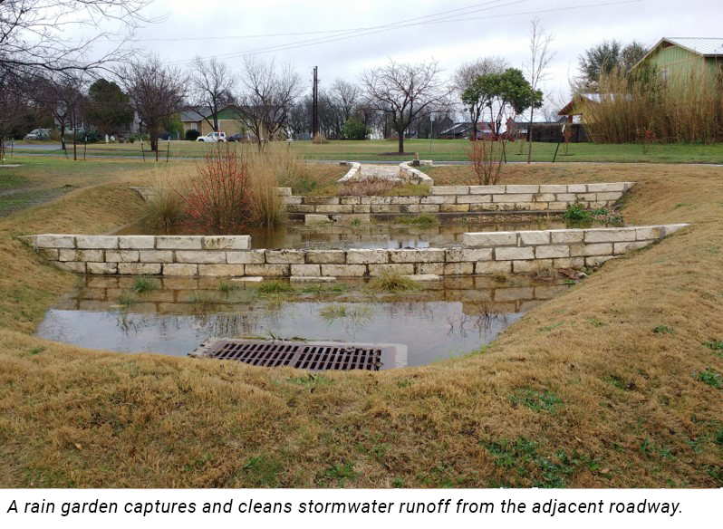 Image of a rain garden captures and cleans stormwater runoff from the adjacent roadway