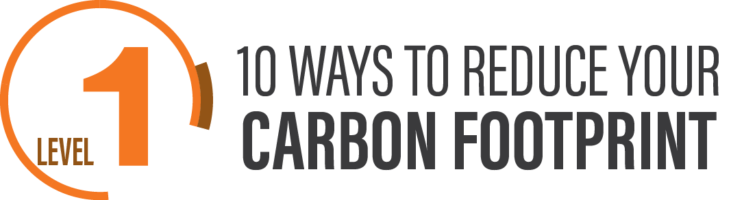 Level 1: 10 ways to reduce your carbon footprint