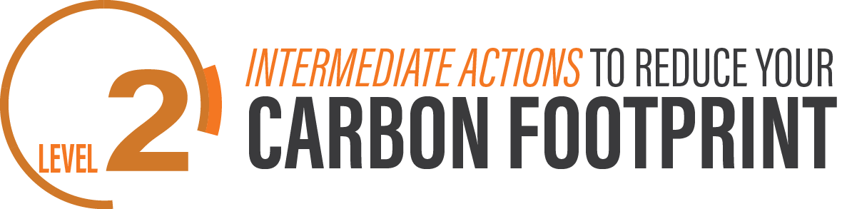 Level 2: Intermediate actions to reduce your carbon footprint