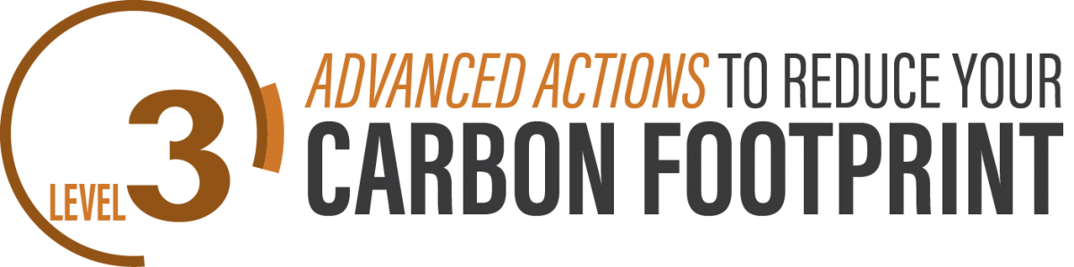 Level 3: Advanced Actions to Reduce Your Carbon Footprint