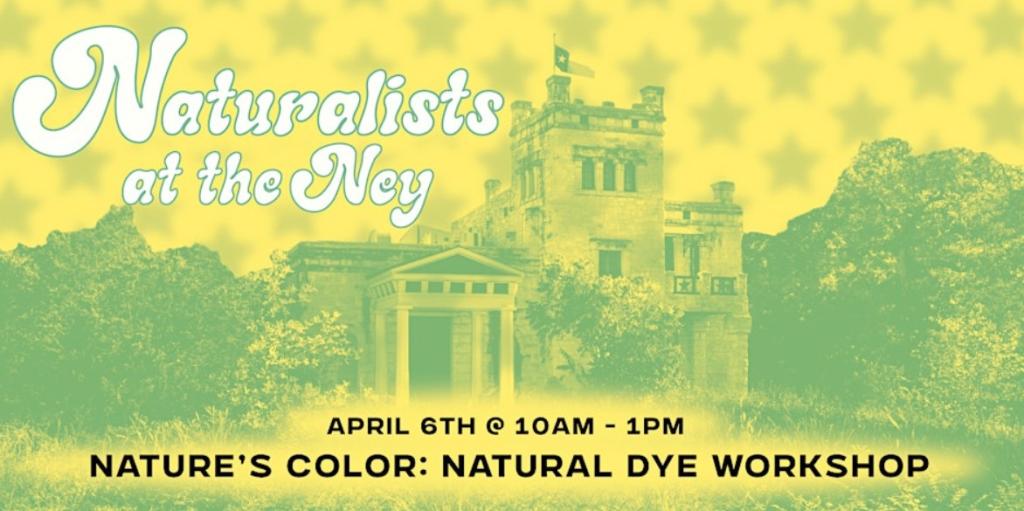 natural dye workshop