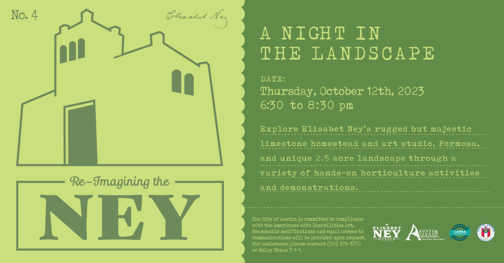A Night in the Landscape - Re-imagining the Ney