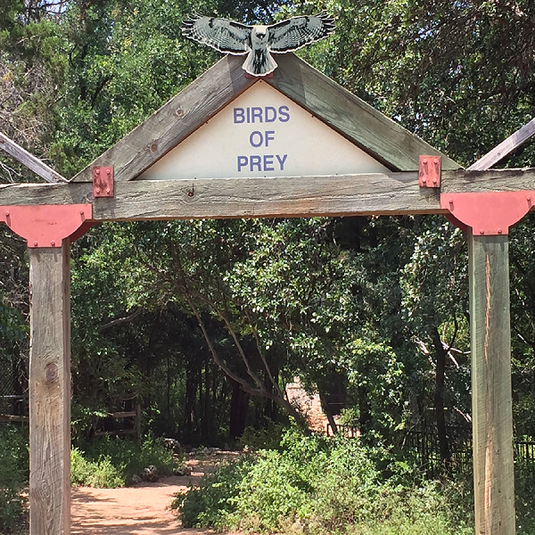 Birds of Prey at ANSC