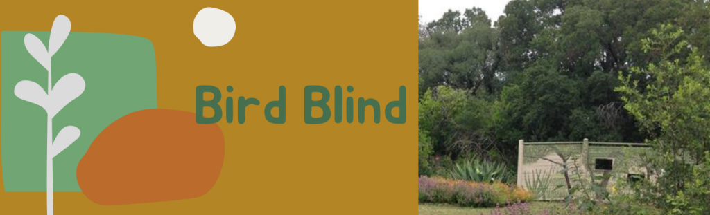 Bird Blind