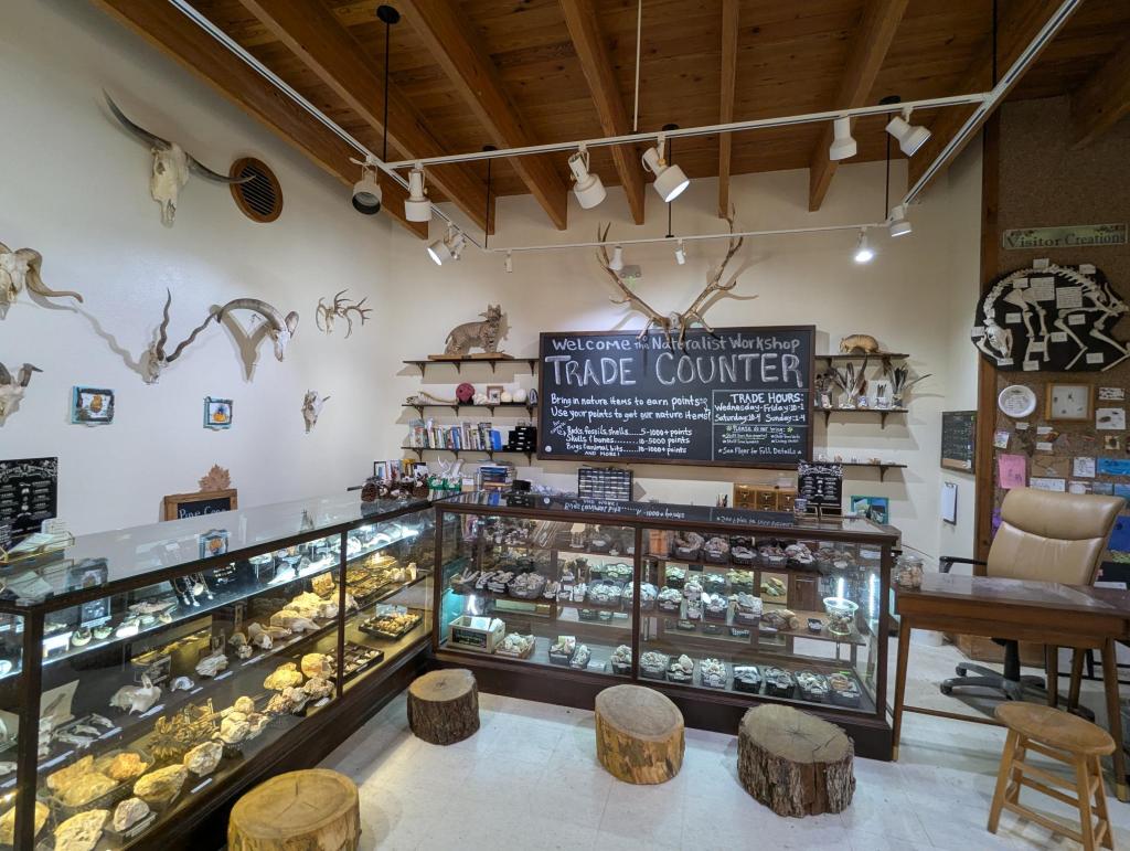 Trade Counter sign and cases with nature items