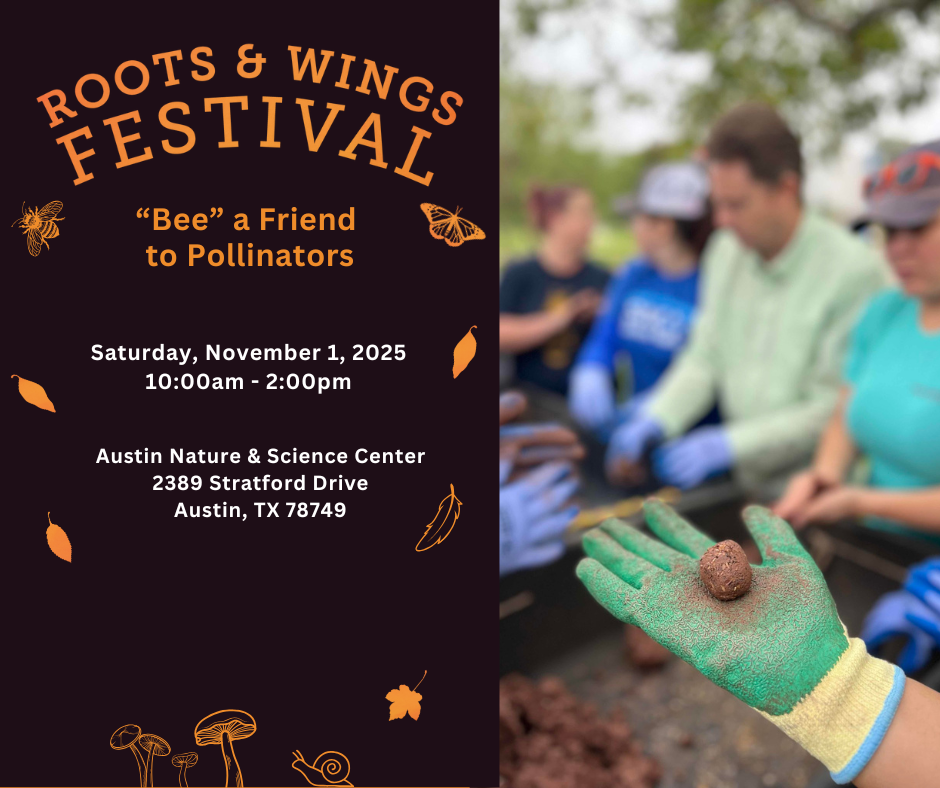 Roots & Wings Festival, Saturday, November 1 10:00am-2:00pm