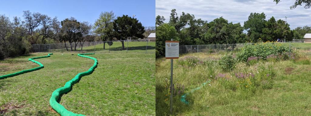 Before photo of a mowed field with mulch socks and the same field with a wildflower meadow