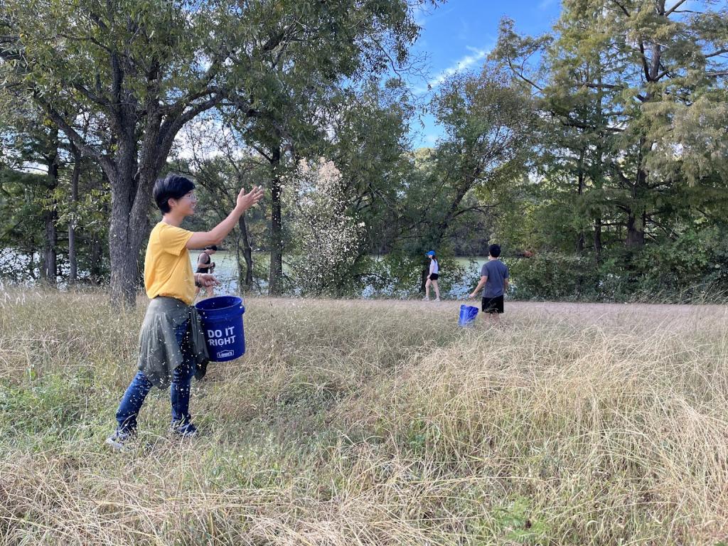 A volunteer with The Trail Conservancy sows seeds at Volma Overton Shores.